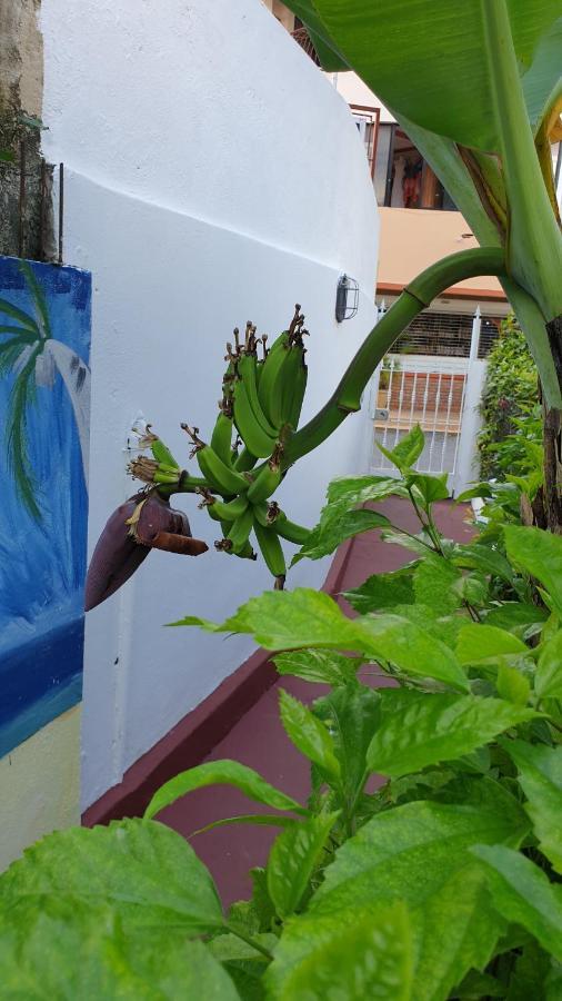 Playa Blanca Bed And Breakfast バヤイベ エクステリア 写真